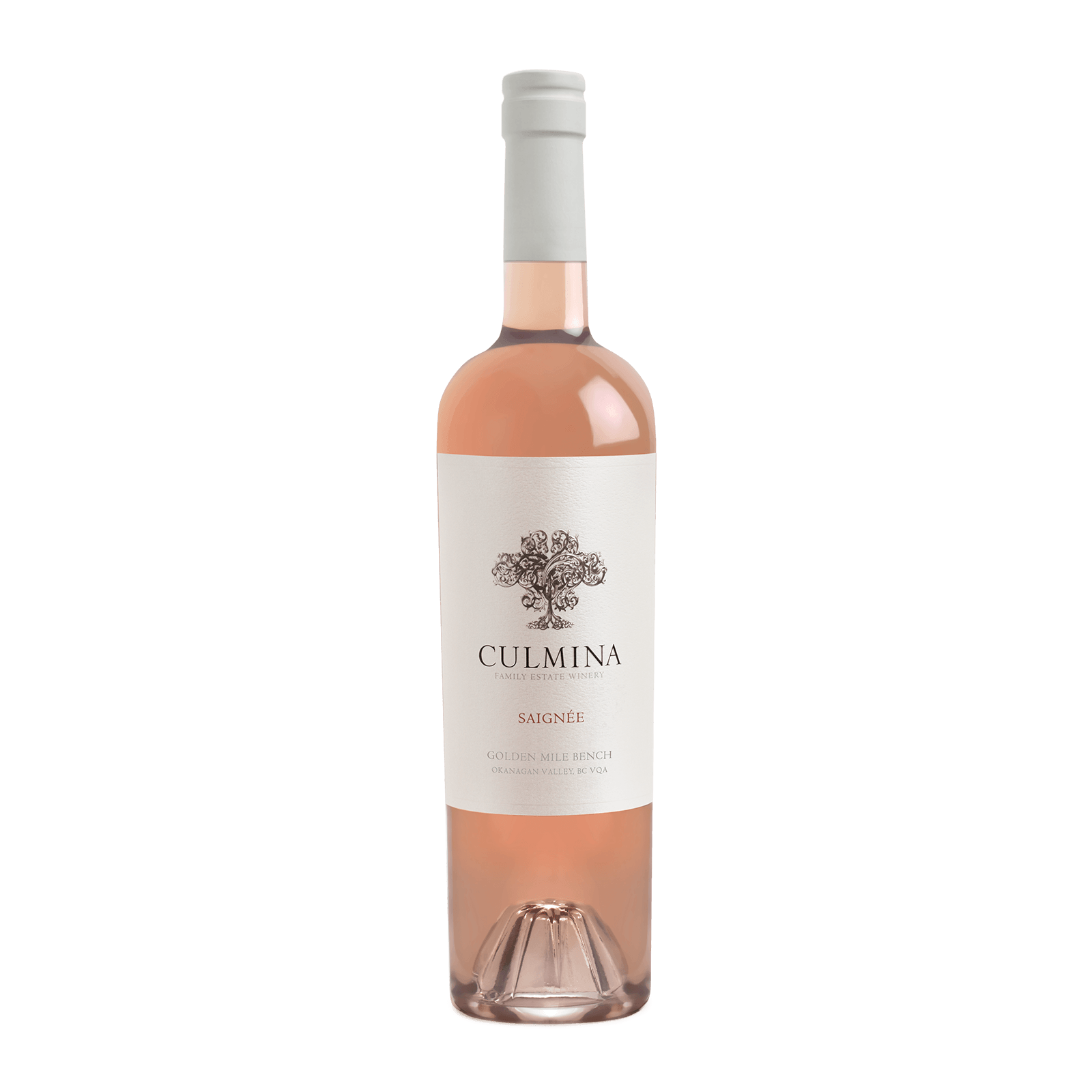 Culmina 2025 Saign&eacute;e